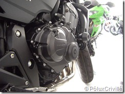 PoluxCriville_PreEntrega-HornetK9-Factory-Bike (9)